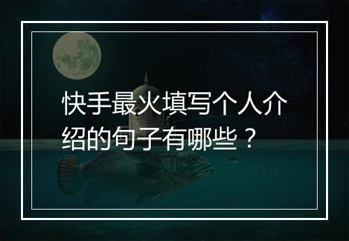 快手最火填写个人介绍的句子有哪些？