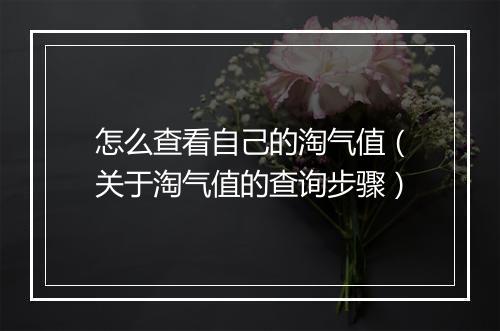 怎么查看自己的淘气值（关于淘气值的查询步骤）