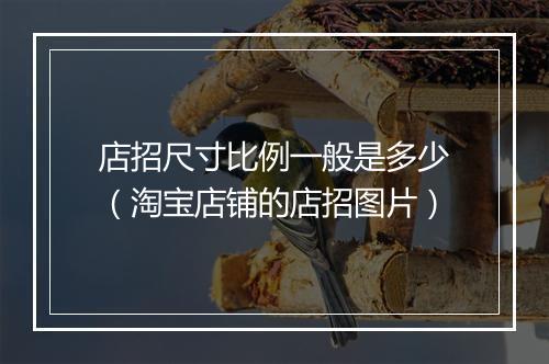 店招尺寸比例一般是多少（淘宝店铺的店招图片）