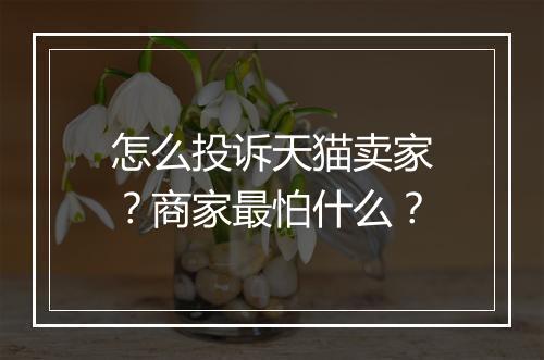 怎么投诉天猫卖家？商家最怕什么？