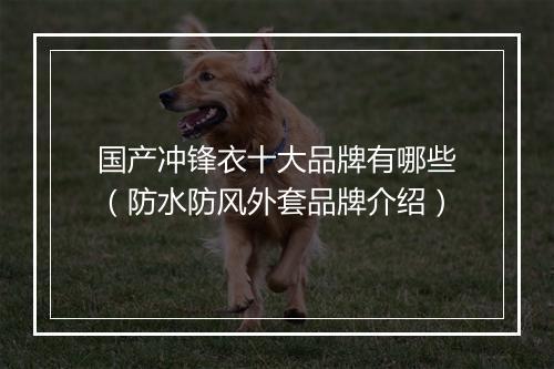 国产冲锋衣十大品牌有哪些（防水防风外套品牌介绍）