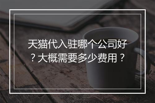 天猫代入驻哪个公司好？大概需要多少费用？