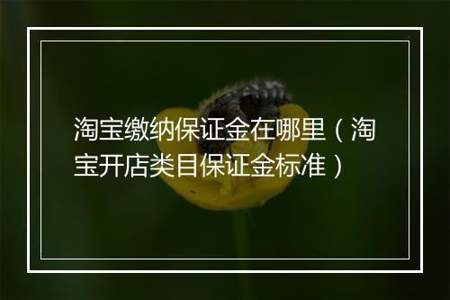 淘宝缴纳保证金在哪里（淘宝开店类目保证金标准）