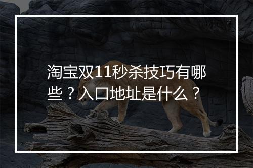 淘宝双11秒杀技巧有哪些？入口地址是什么？