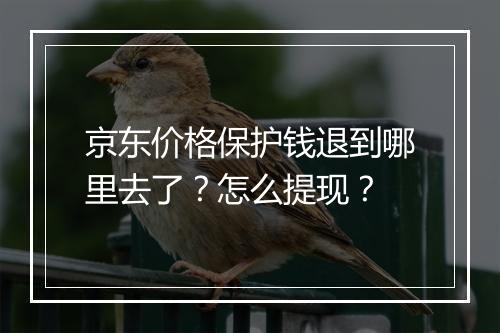京东价格保护钱退到哪里去了？怎么提现？