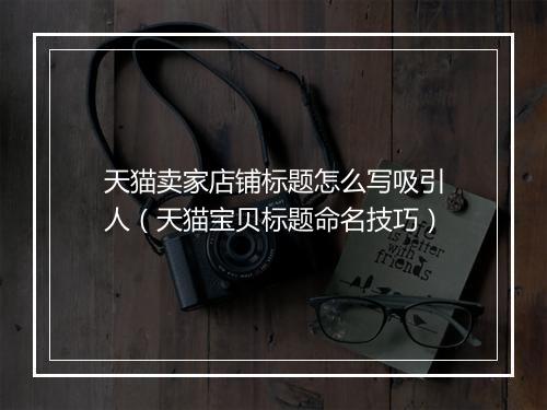 天猫卖家店铺标题怎么写吸引人（天猫宝贝标题命名技巧）