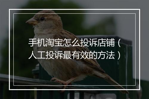 手机淘宝怎么投诉店铺（人工投诉最有效的方法）