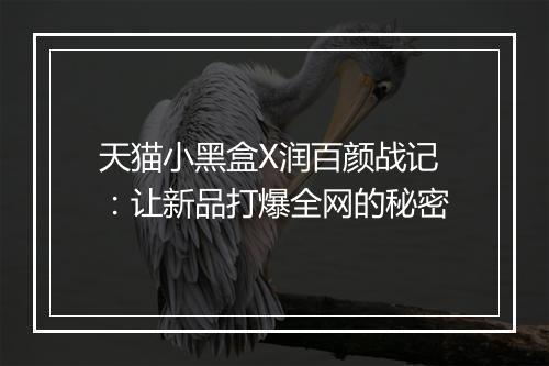 天猫小黑盒X润百颜战记：让新品打爆全网的秘密
