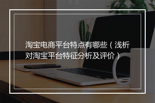 淘宝电商平台特点有哪些（浅析对淘宝平台特征分析及评价）