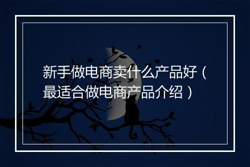 新手做电商卖什么产品好（最适合做电商产品介绍）