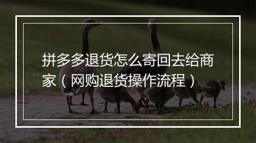 拼多多退货怎么寄回去给商家（网购退货操作流程）