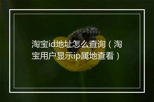 淘宝id地址怎么查询（淘宝用户显示ip属地查看）