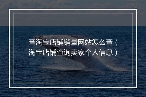 查淘宝店铺销量网站怎么查（淘宝店铺查询卖家个人信息）