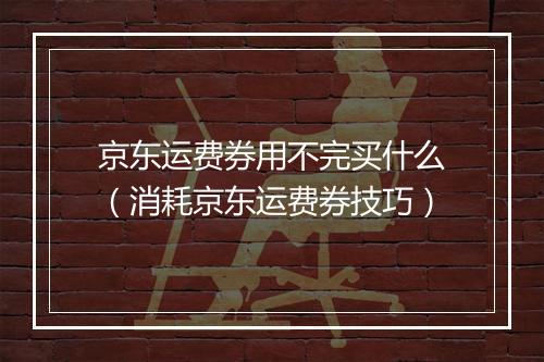 京东运费券用不完买什么（消耗京东运费券技巧）
