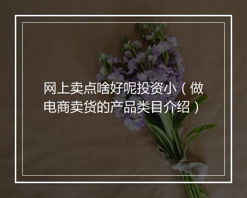 网上卖点啥好呢投资小（做电商卖货的产品类目介绍）