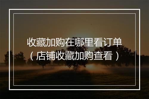 收藏加购在哪里看订单（店铺收藏加购查看）
