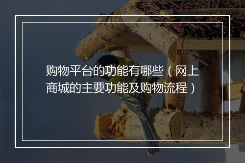 购物平台的功能有哪些（网上商城的主要功能及购物流程）