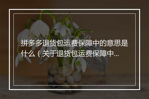 拼多多退货包运费保障中的意思是什么（关于退货包运费保障中的理解）