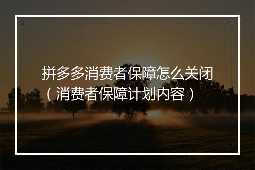 拼多多消费者保障怎么关闭（消费者保障计划内容）