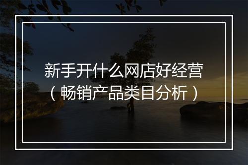 新手开什么网店好经营（畅销产品类目分析）