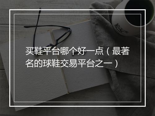 买鞋平台哪个好一点（最著名的球鞋交易平台之一）