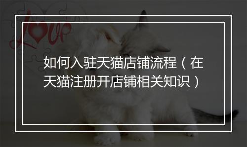 如何入驻天猫店铺流程（在天猫注册开店铺相关知识）