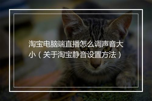 淘宝电脑端直播怎么调声音大小（关于淘宝静音设置方法）