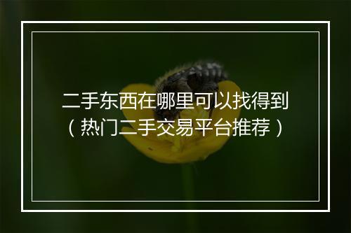 二手东西在哪里可以找得到（热门二手交易平台推荐）