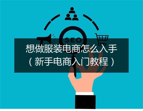 想做服装电商怎么入手（新手电商入门教程）