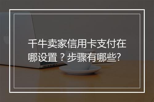 千牛卖家信用卡支付在哪设置？步骤有哪些?