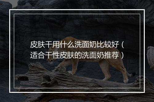 皮肤干用什么洗面奶比较好（适合干性皮肤的洗面奶推荐）