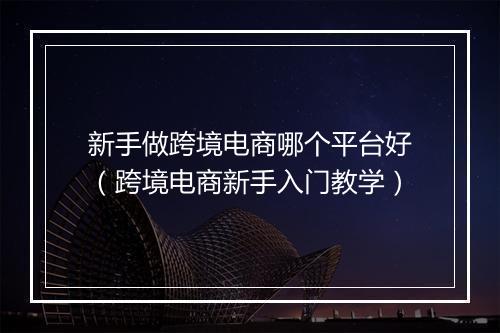 新手做跨境电商哪个平台好（跨境电商新手入门教学）