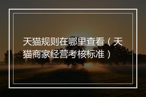 天猫规则在哪里查看（天猫商家经营考核标准）