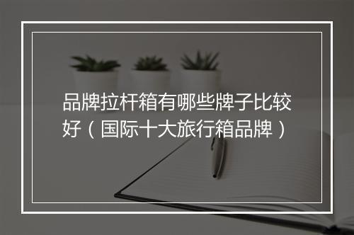 品牌拉杆箱有哪些牌子比较好（国际十大旅行箱品牌）