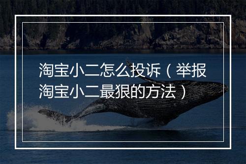 淘宝小二怎么投诉（举报淘宝小二最狠的方法）