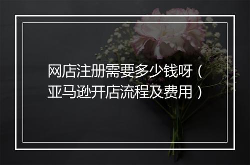 网店注册需要多少钱呀（亚马逊开店流程及费用）