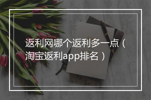 返利网哪个返利多一点（淘宝返利app排名）