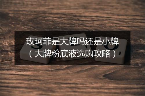 玫珂菲是大牌吗还是小牌（大牌粉底液选购攻略）