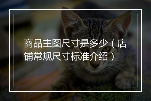 商品主图尺寸是多少（店铺常规尺寸标准介绍）