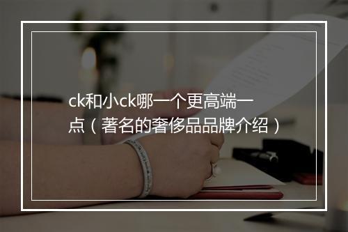 ck和小ck哪一个更高端一点（著名的奢侈品品牌介绍）