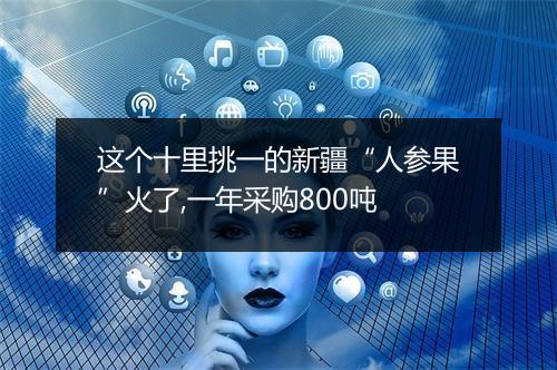 这个十里挑一的新疆“人参果”火了,一年采购800吨