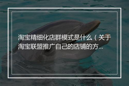 淘宝精细化店群模式是什么（关于淘宝联盟推广自己的店铺的方法）