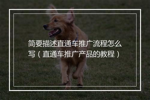 简要描述直通车推广流程怎么写（直通车推广产品的教程）