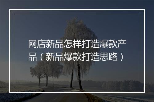 网店新品怎样打造爆款产品（新品爆款打造思路）