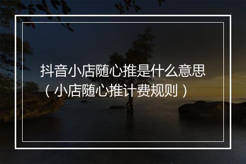 抖音小店随心推是什么意思（小店随心推计费规则）