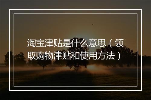 淘宝津贴是什么意思（领取购物津贴和使用方法）