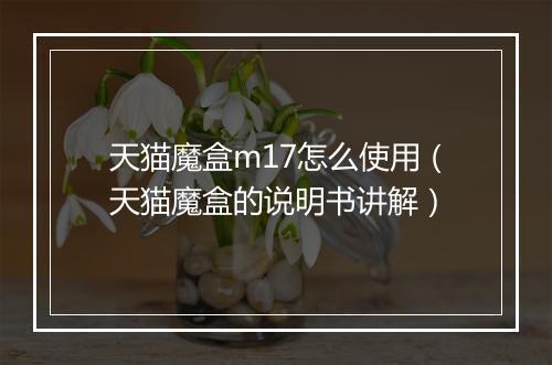 天猫魔盒m17怎么使用（天猫魔盒的说明书讲解）