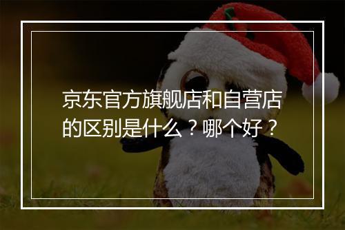 京东官方旗舰店和自营店的区别是什么？哪个好？
