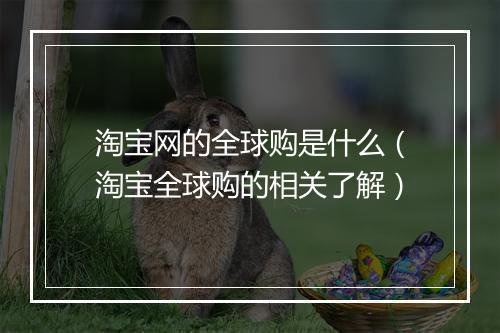 淘宝网的全球购是什么（淘宝全球购的相关了解）