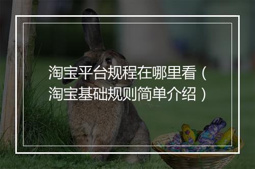 淘宝平台规程在哪里看（淘宝基础规则简单介绍）